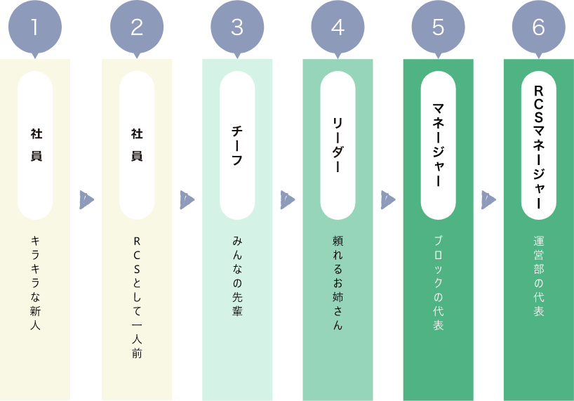 等級制度フロー
